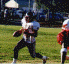 wpe18226.gif (39263 bytes)