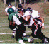 wpe77825.gif (41531 bytes)