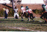 wpe87255.gif (56702 bytes)