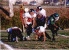wpe04829.gif (55348 bytes)