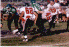 wpe76955.gif (58080 bytes)