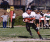 wpe93244.gif (223150 bytes)