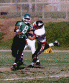 wpe98185.gif (28585 bytes)