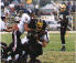 wpe93839.gif (80391 bytes)