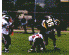 wpe46302.gif (86201 bytes)