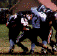 wpe57395.gif (36640 bytes)