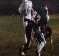 wpe99995.gif (61165 bytes)