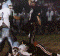 wpe32631.gif (70236 bytes)