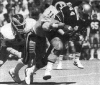 wpe20446.gif (272372 bytes)
